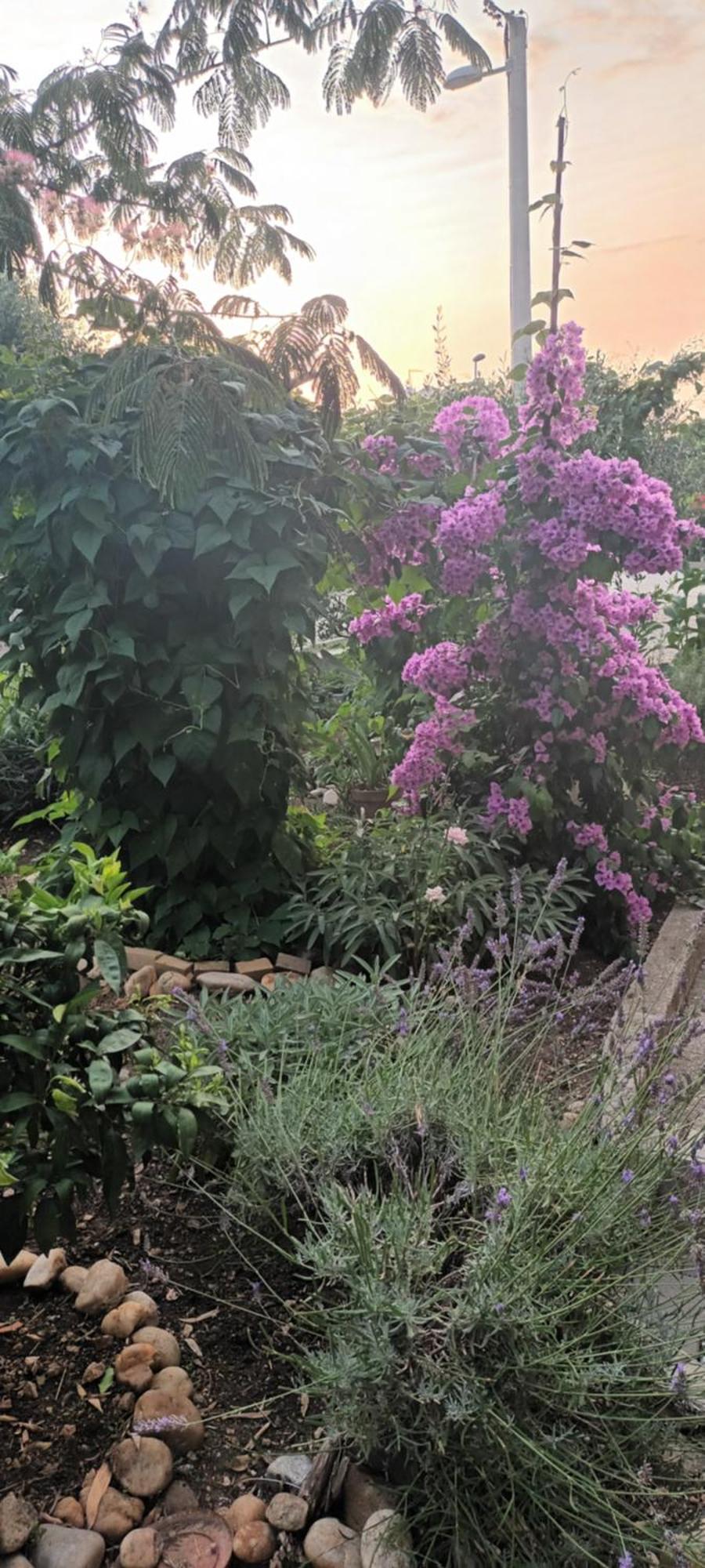 Anna Lägenhet Biograd Na Moru Exteriör bild